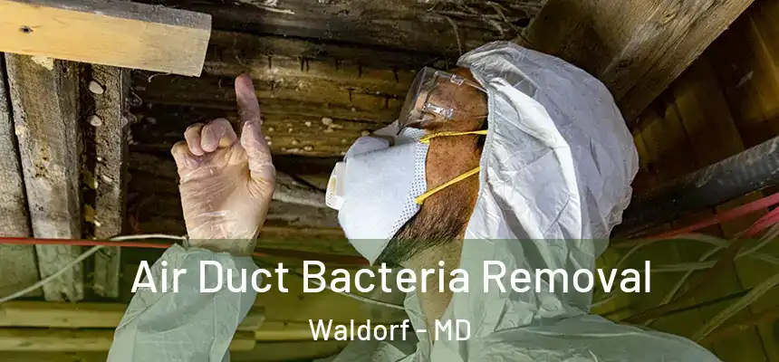 Air Duct Bacteria Removal Waldorf - MD