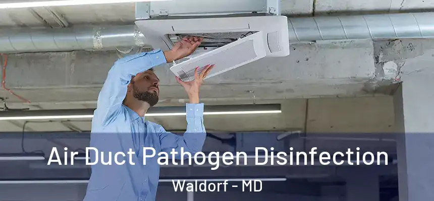  Air Duct Pathogen Disinfection Waldorf - MD