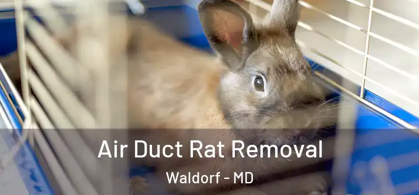 Air Duct Rat Removal Waldorf - MD