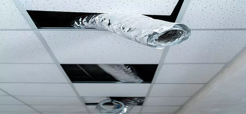 Our Air Duct Pet Hair Removal Services in Waldorf, MD