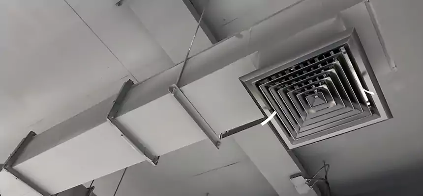 Our Rodent Droppings In Vents Services in Waldorf, MD