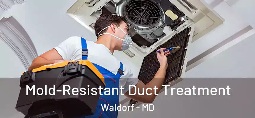  Mold-Resistant Duct Treatment Waldorf - MD
