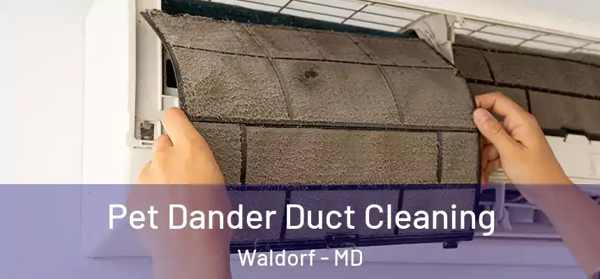 Pet Dander Duct Cleaning Waldorf - MD