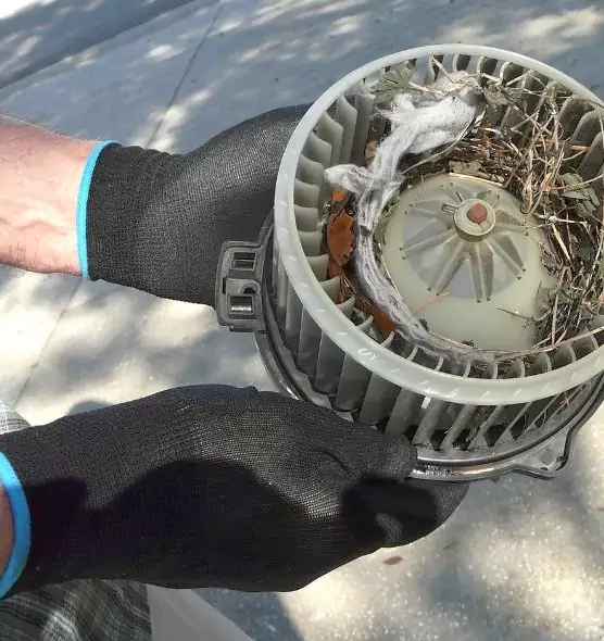 About Air Duct Rat Removal in Waldorf, MD