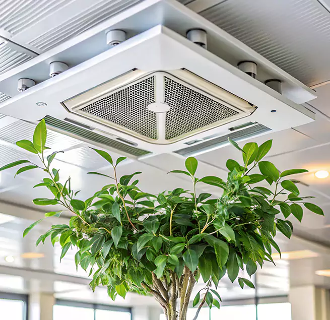 Why Homeowners & Businesses Trust Us in Waldorf, MD?