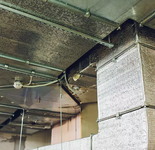 Why Homeowners & Businesses Trust Us in Waldorf, MD?